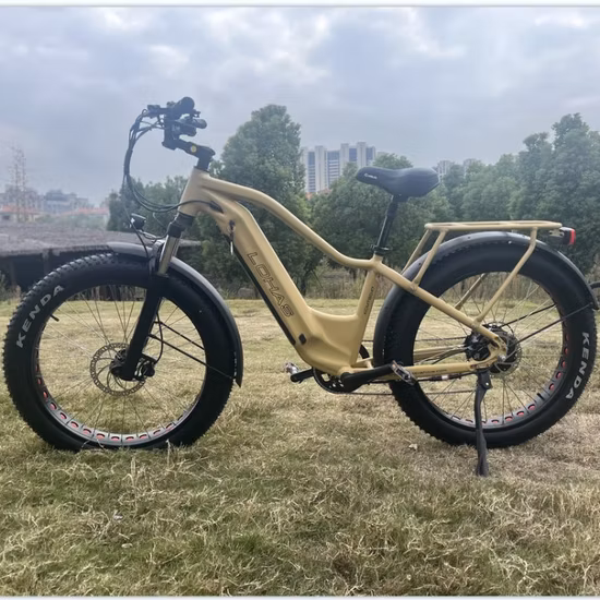 Велосипед с двойным мотором-концентратором MTB Fat Tire 26*4,0 350W*2 с двойным электродвигателем
